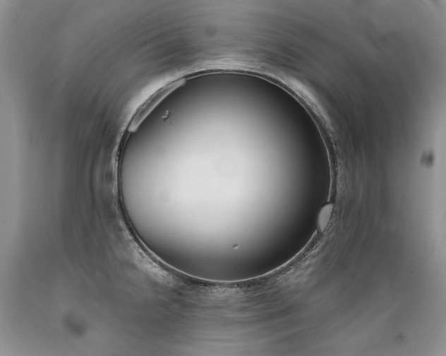 X0000089391238200706221310