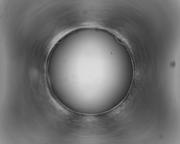 X0000089391239200706221310