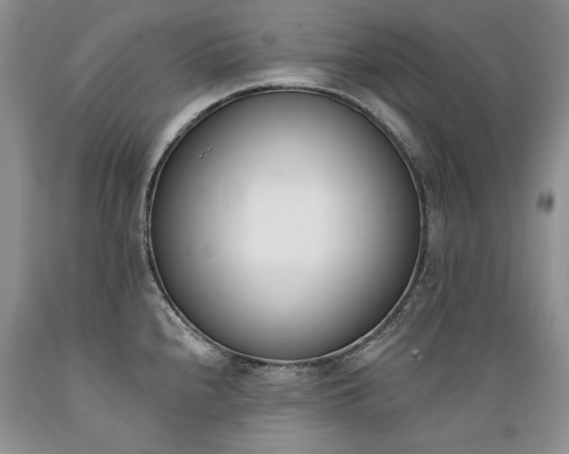 X0000089391240200706221310