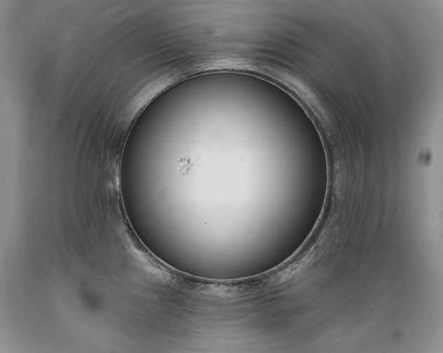 X0000089391241200706221310