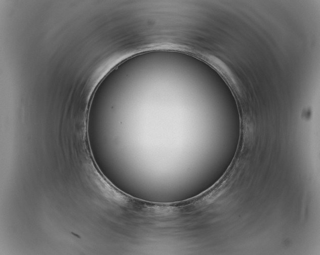 X0000089391244200706221310