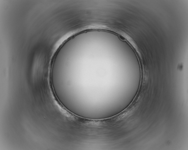 X0000089391245200706221310