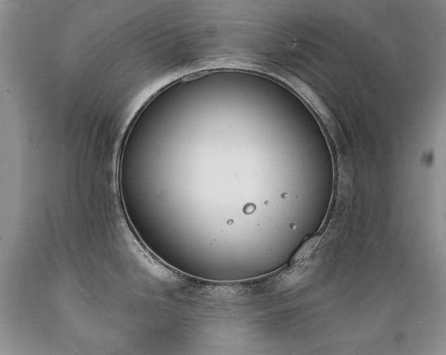 X0000089391246200706221310