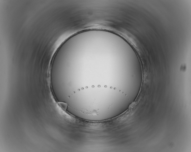 X0000089391247200706221310