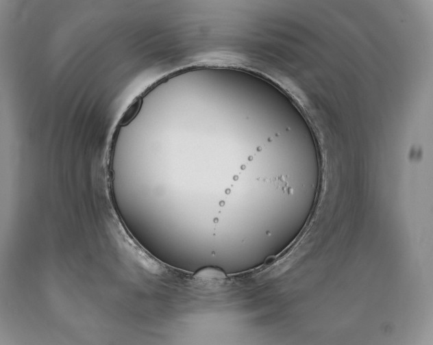 X0000089391248200706221310