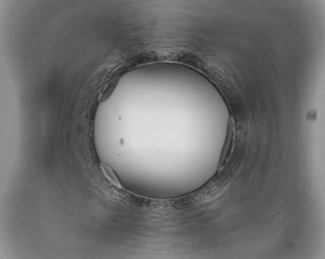 X0000089391249200706221310