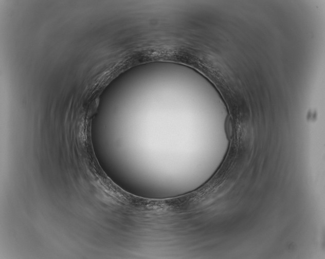 X0000089391250200706221310