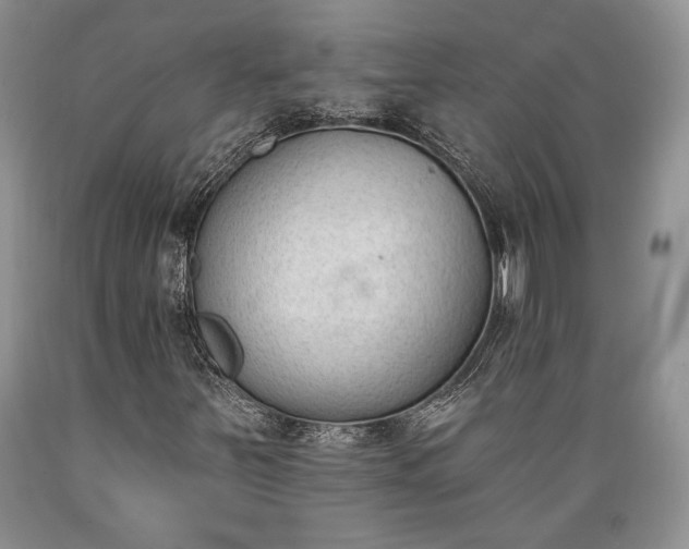 X0000089391251200706221310