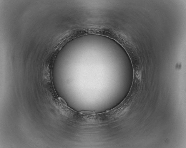X0000089391252200706221310
