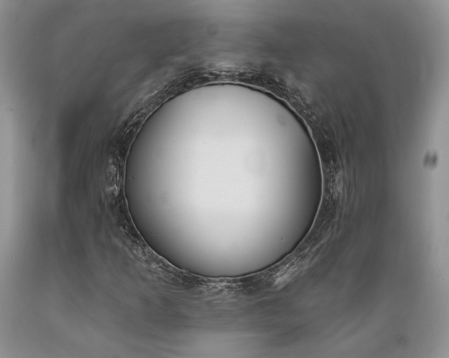 X0000089391253200706221310