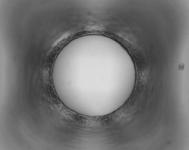 X0000089391254200706221310
