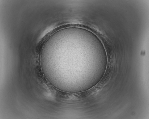X0000089391255200706221310