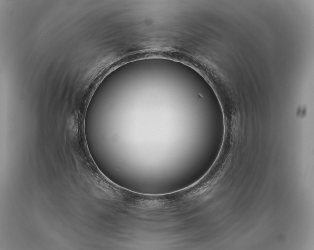 X0000089391257200706221310