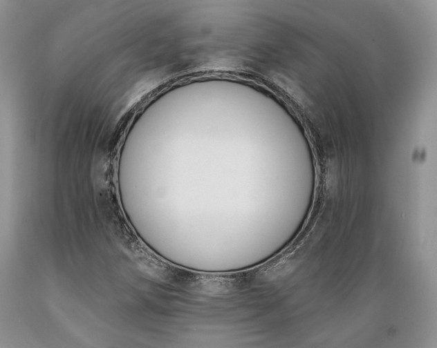 X0000089391258200706221310