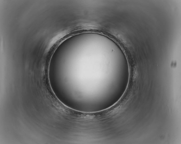 X0000089391261200706221310