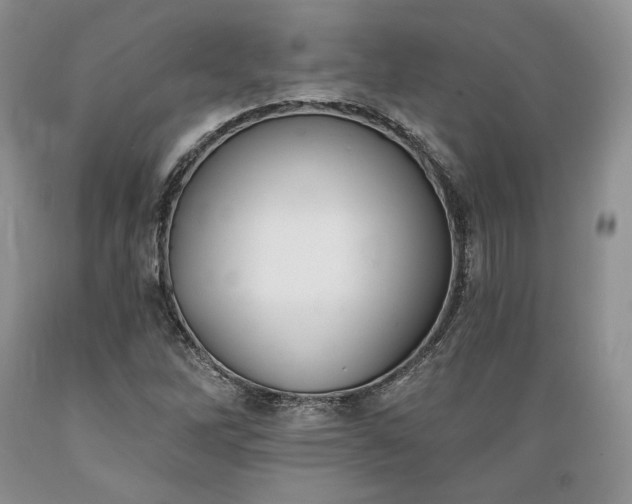 X0000089391262200706221310