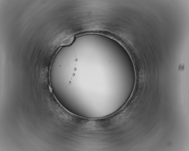 X0000089391265200706221310