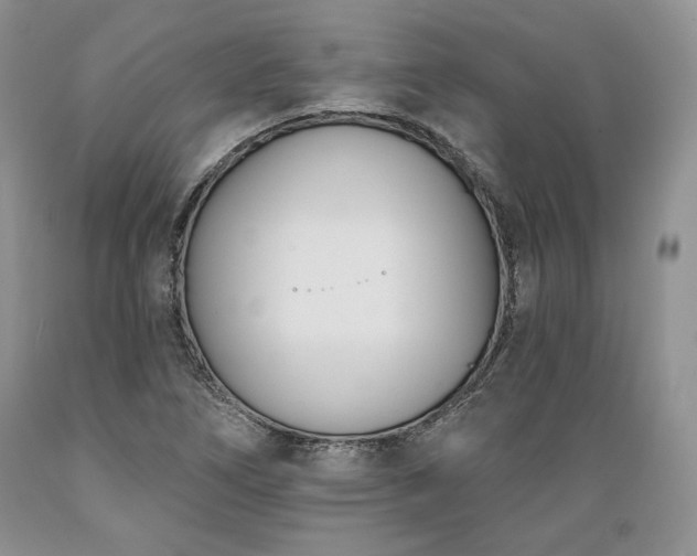 X0000089391266200706221310