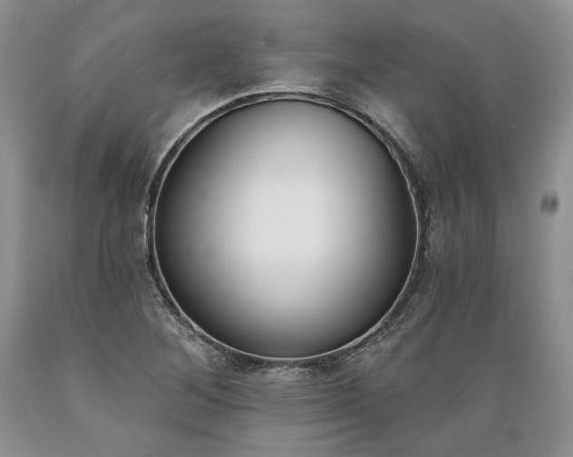 X0000089391268200706221310