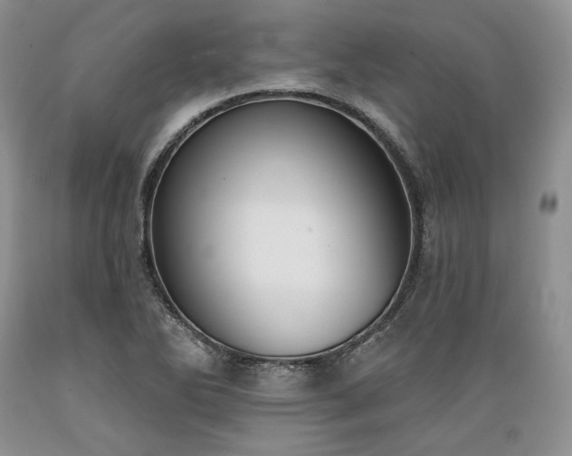 X0000089391270200706221310
