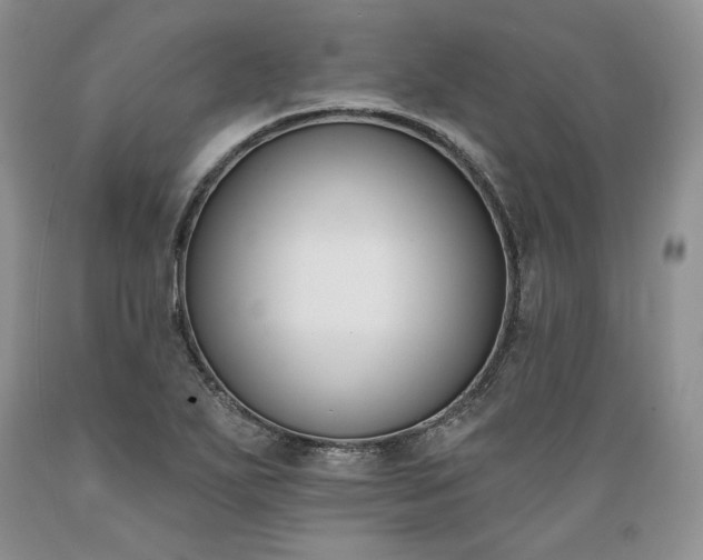 X0000089391271200706221310