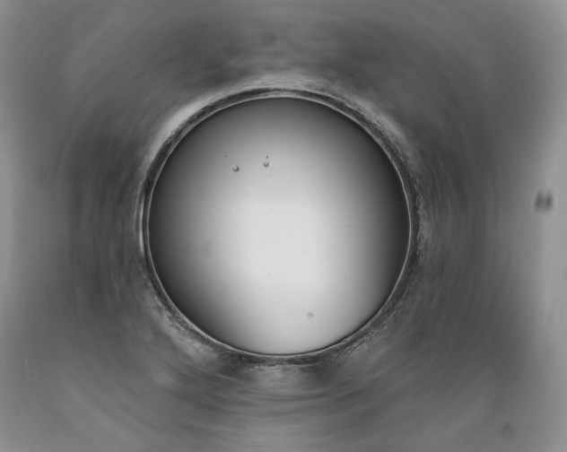 X0000089391272200706221310
