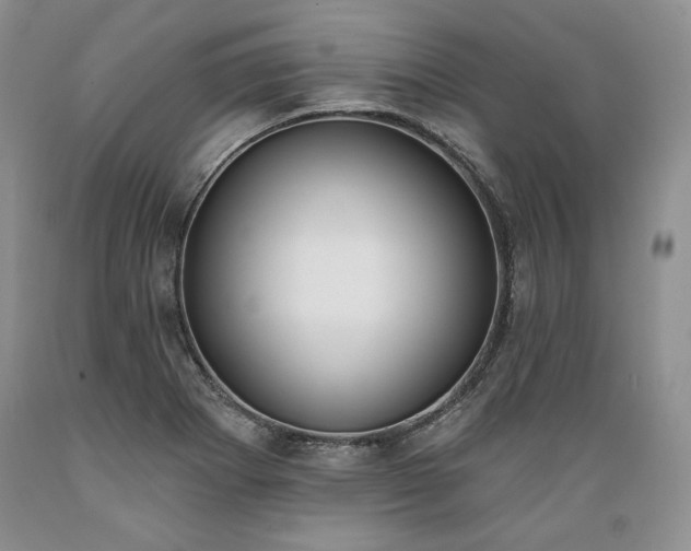 X0000089391273200706221309