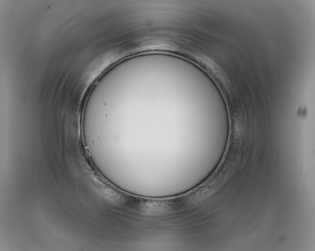 X0000089391274200706221309