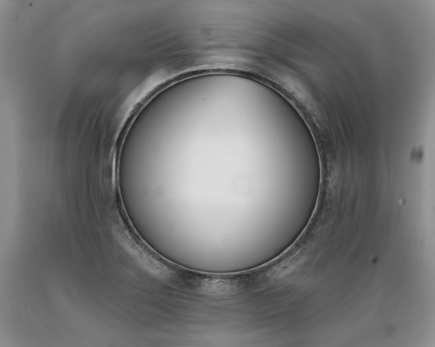 X0000089391275200706221309