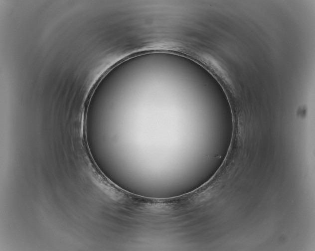 X0000089391276200706221309