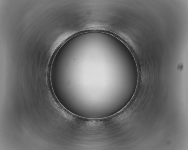 X0000089391277200706221309