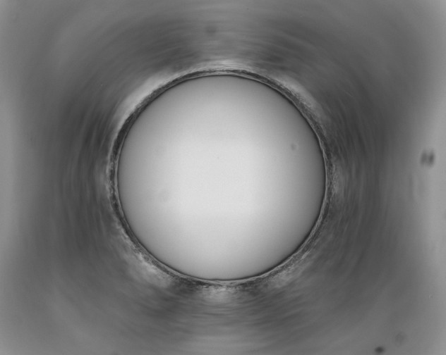 X0000089391278200706221309