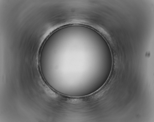 X0000089391280200706221309