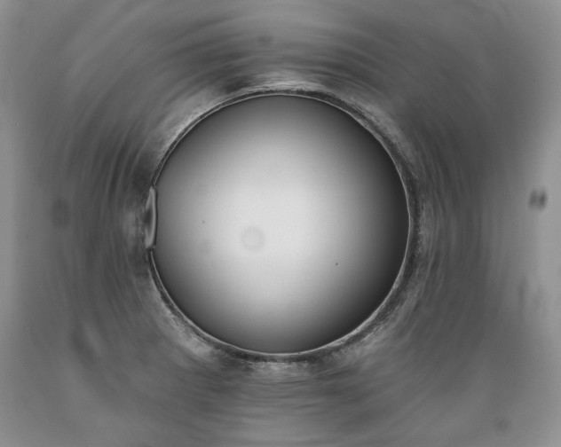 X0000089391281200706221309