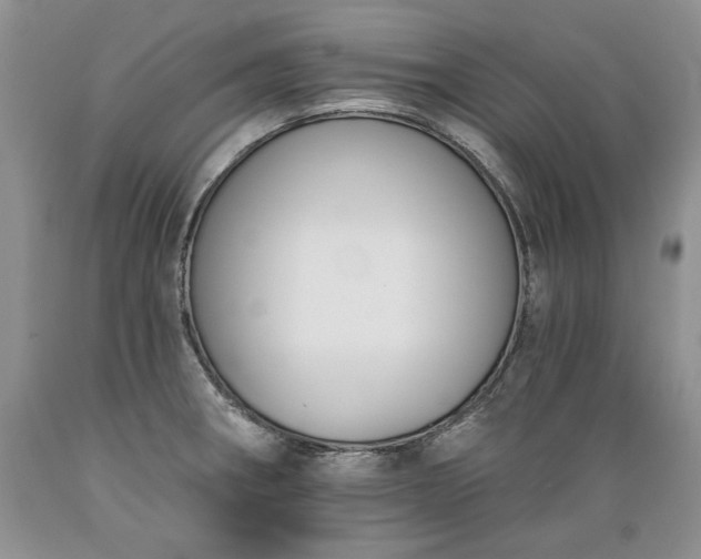 X0000089391282200706221309