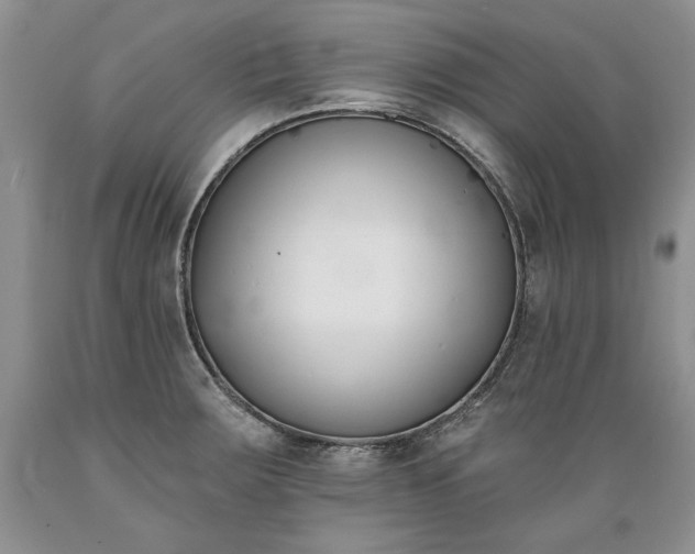 X0000089391283200706221309