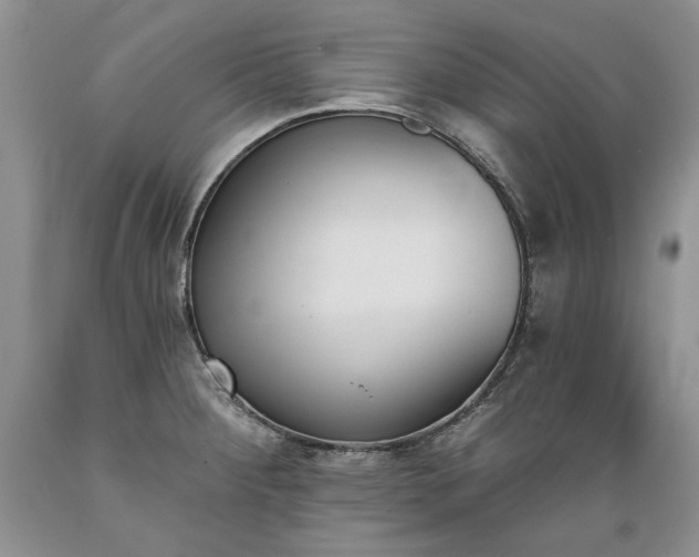 X0000089391284200706221309
