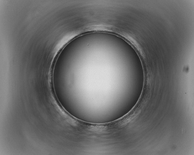 X0000089391285200706221309