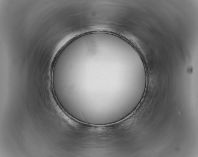 X0000089391286200706221309