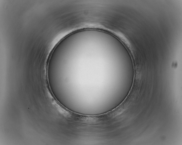 X0000089391287200706221309