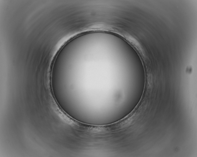 X0000089391288200706221309