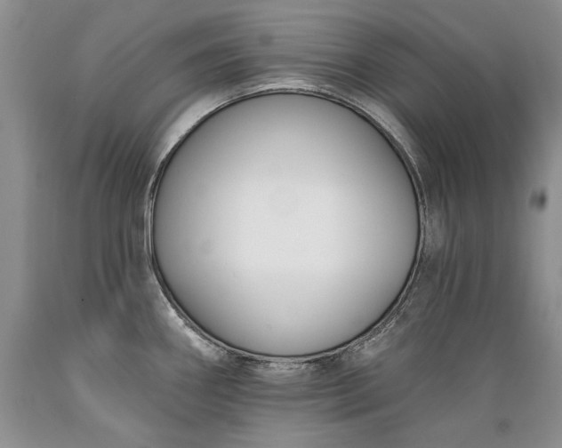 X0000089391290200706221309