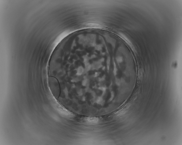 X0000089391291200706221309