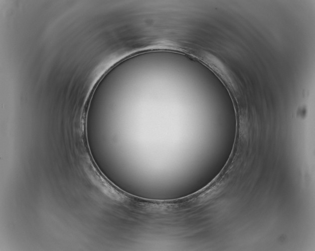 X0000089391292200706221309