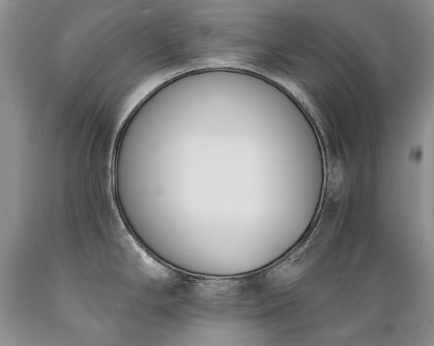 X0000089391294200706221309