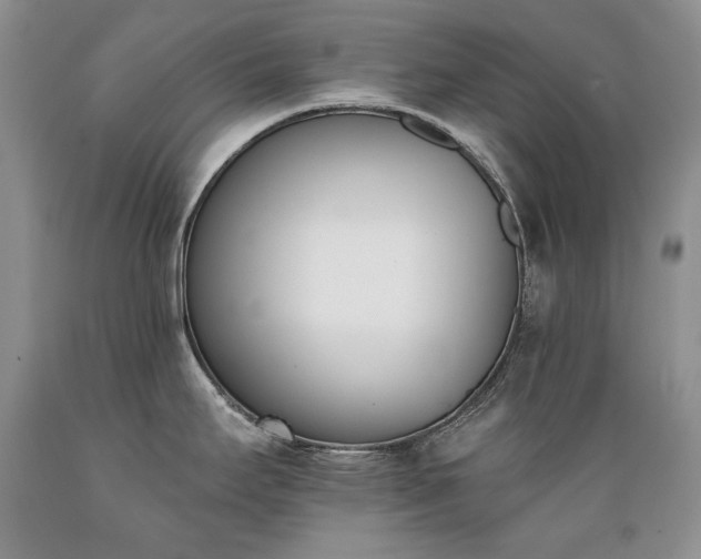 X0000089391295200706221309