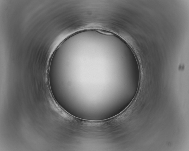 X0000089391296200706221309