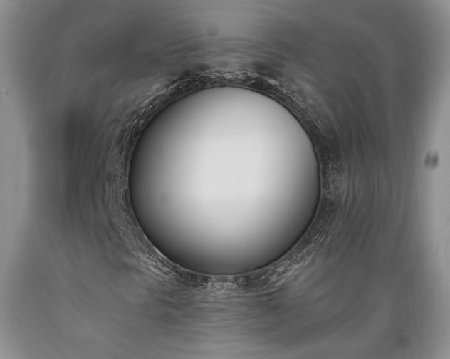X0000089391297200706221308