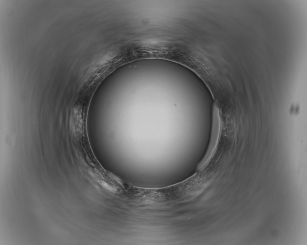X0000089391298200706221308