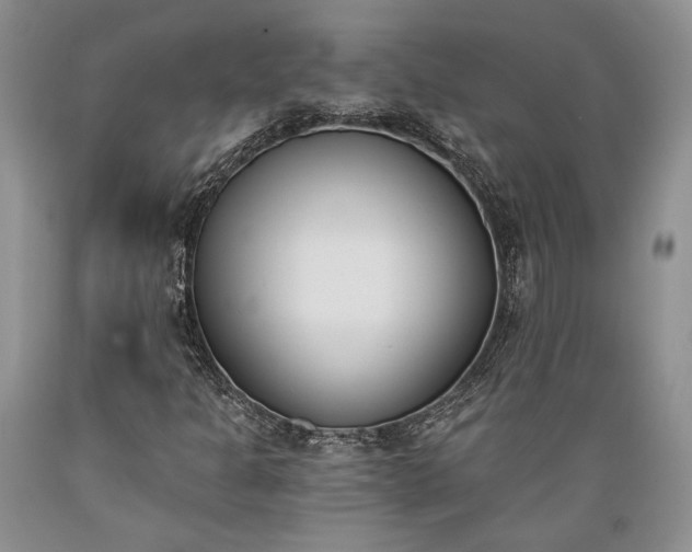 X0000089391301200706221308